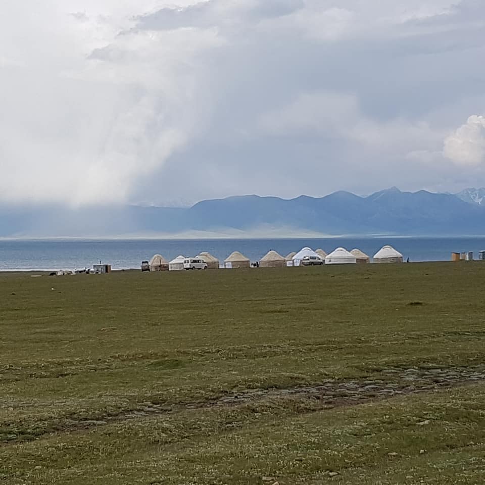 kirgiz juhászkutyák